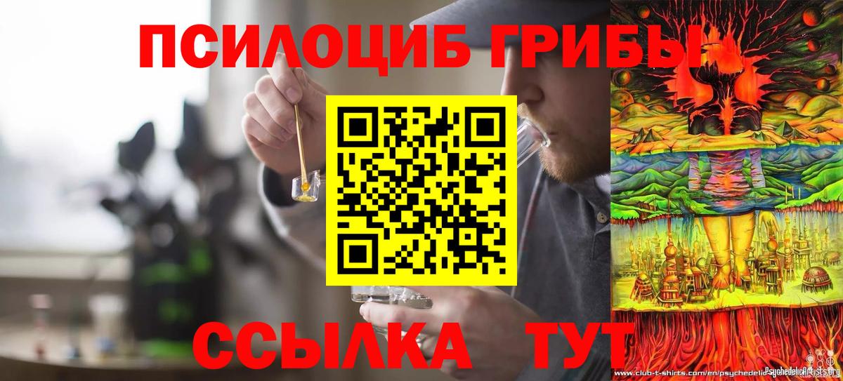 Балтийск  Псилоцибиновые грибы Psilocybine cubensis  Галлюциногенные грибы Psilocybine cubensis  Вход с VPN 