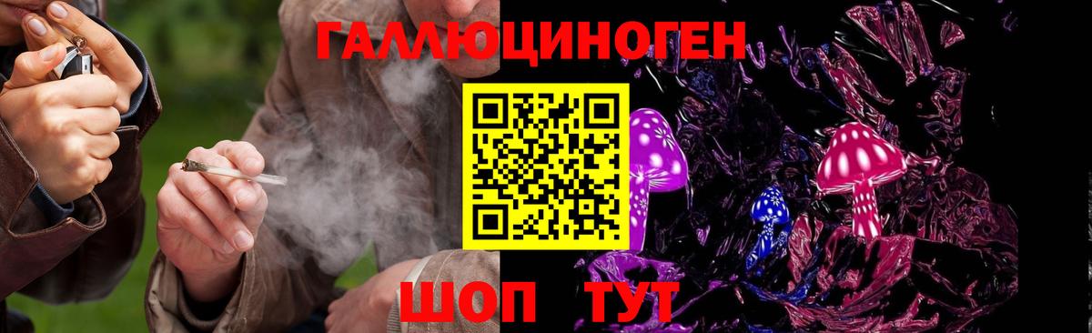 Псилоцибиновые грибы Cubensis Балтийск